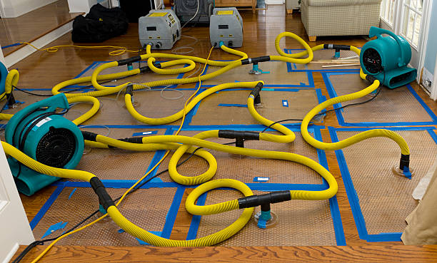 Professional Structural Drying And Dehumidification technician working in Richmond, KY